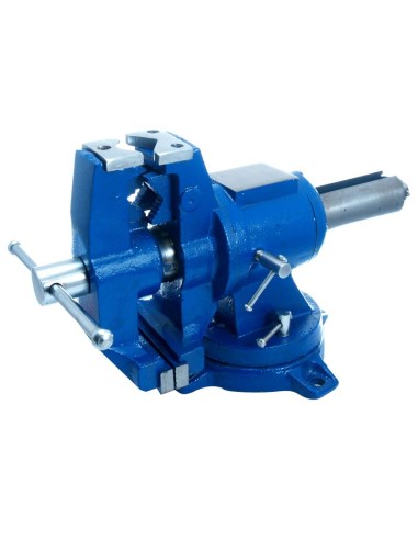 Imadło Obrotowe Wielofunkcyjne 100 Mm 15.5 Kg