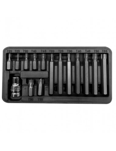 ZESTAW KOŃC. 10MM, TORX SEC.T20T55,L=30|75MM,15SZT. PROLINE